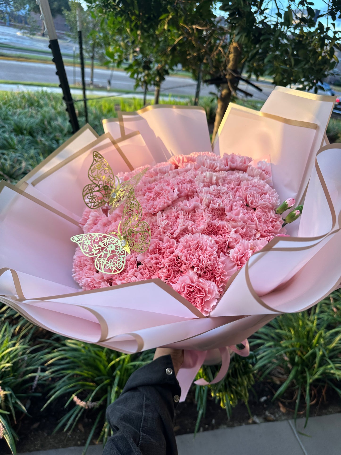 Carnation Obsessed
